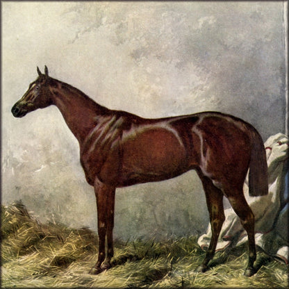 Digital Download - 1 image