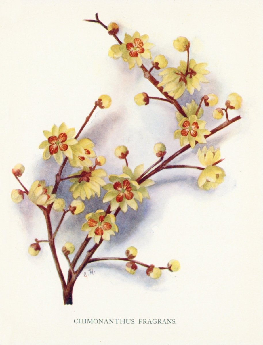 Dimensions 3872 x 5080 pixels