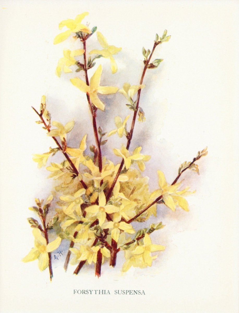 Dimensions 3879 x 5076 pixels