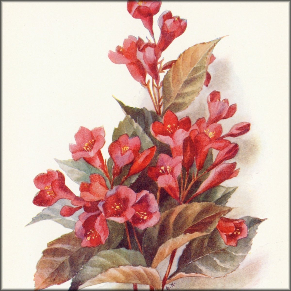 Digital Download - 8 images