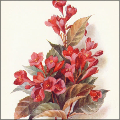 Digital Download - 8 images