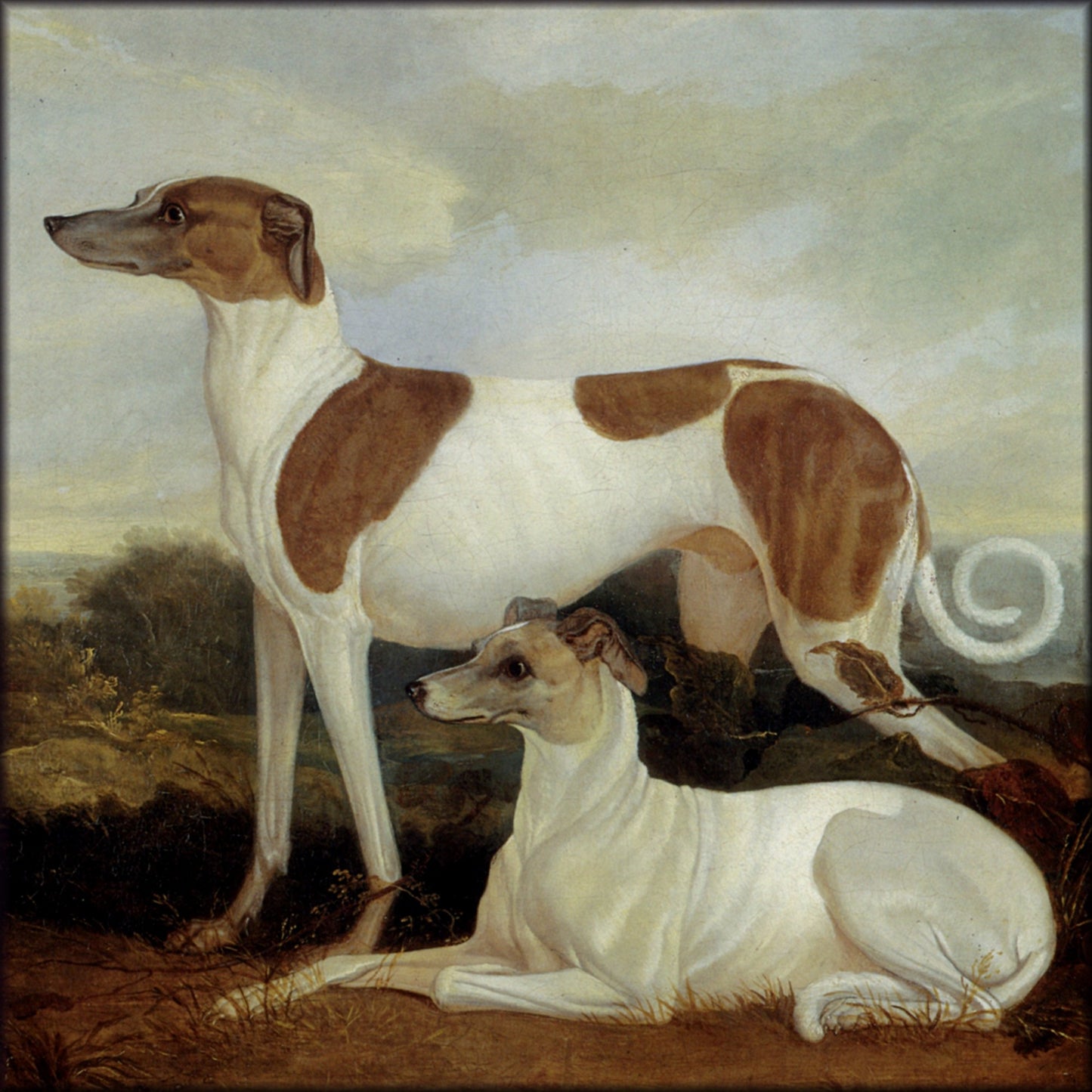 Digital Download - 1 image