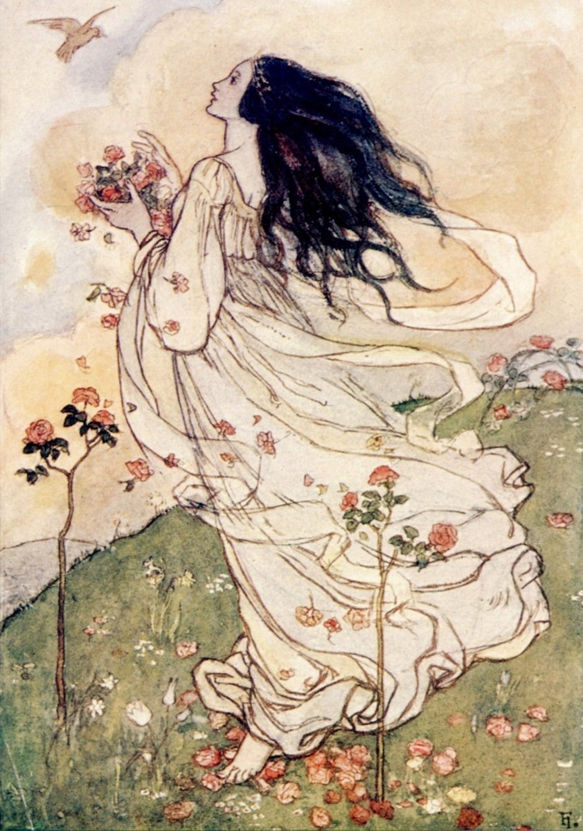 Dimensions 2765 x 3940 pixels