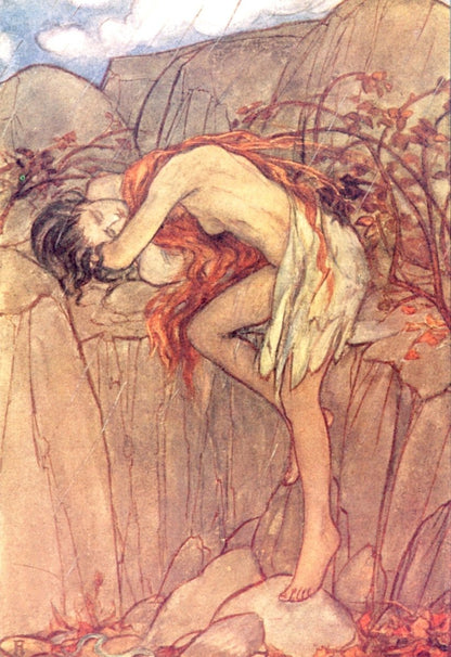 Dimensions 2760 x 4020 pixels