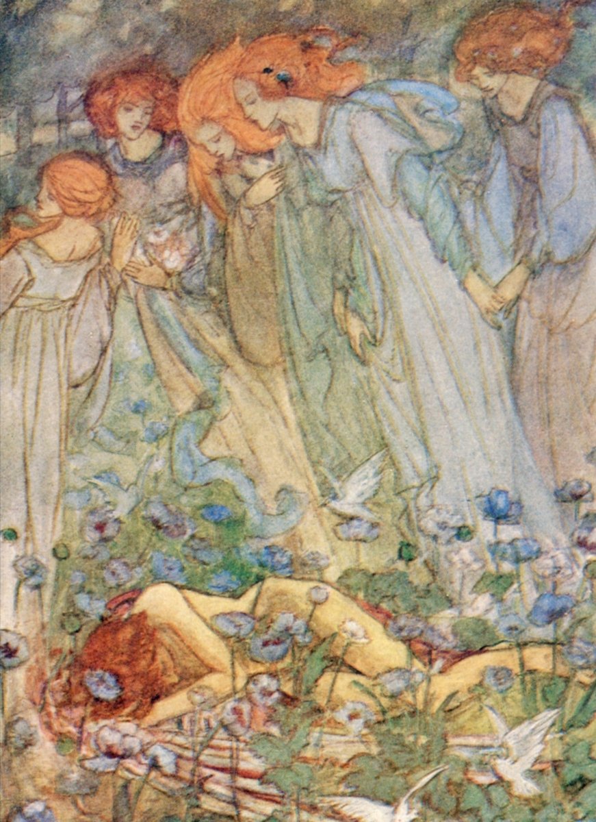 Dimensions 2756 x 3800 pixels