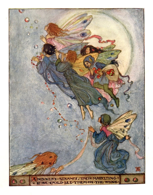 Dimensions 4689 x 5967 pixels