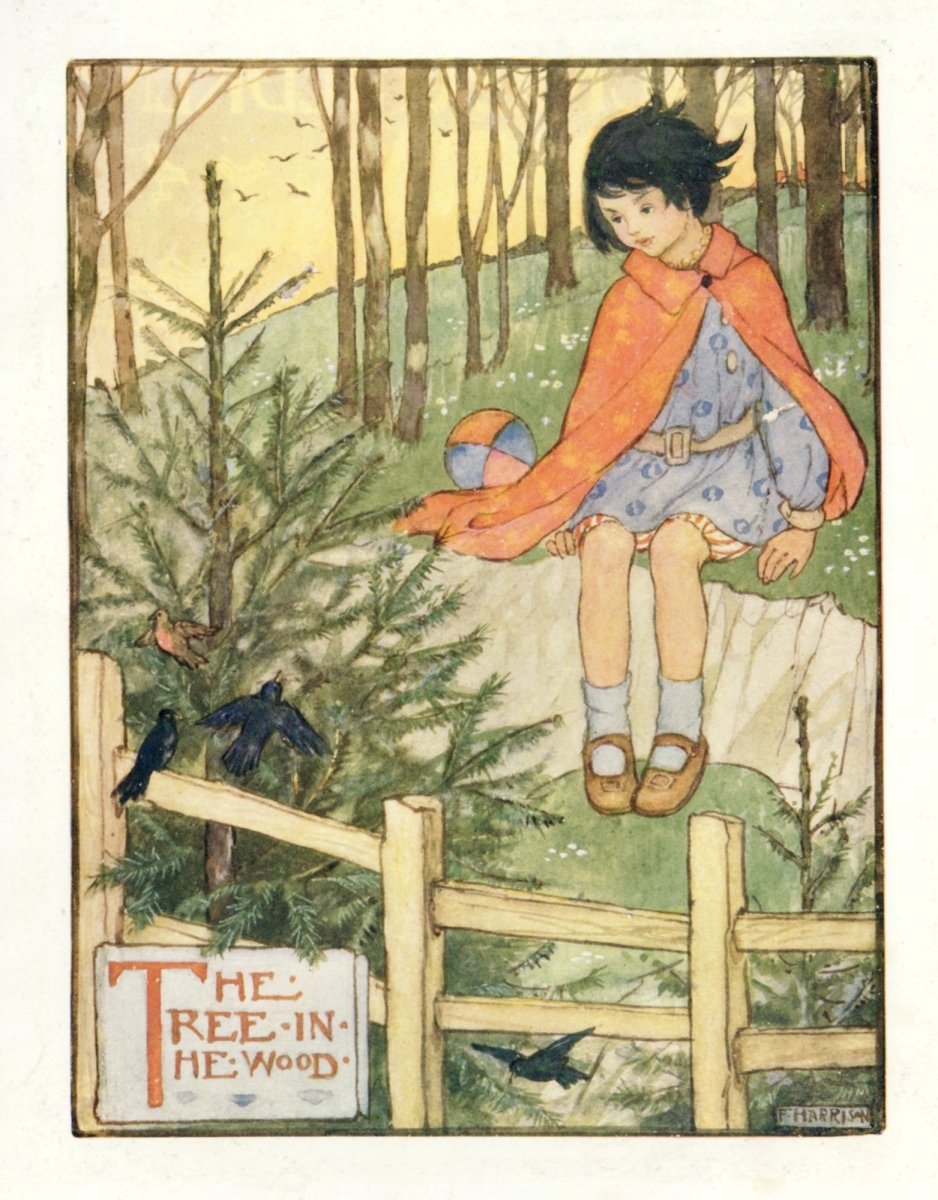 Dimensions 4164 x 5328 pixels