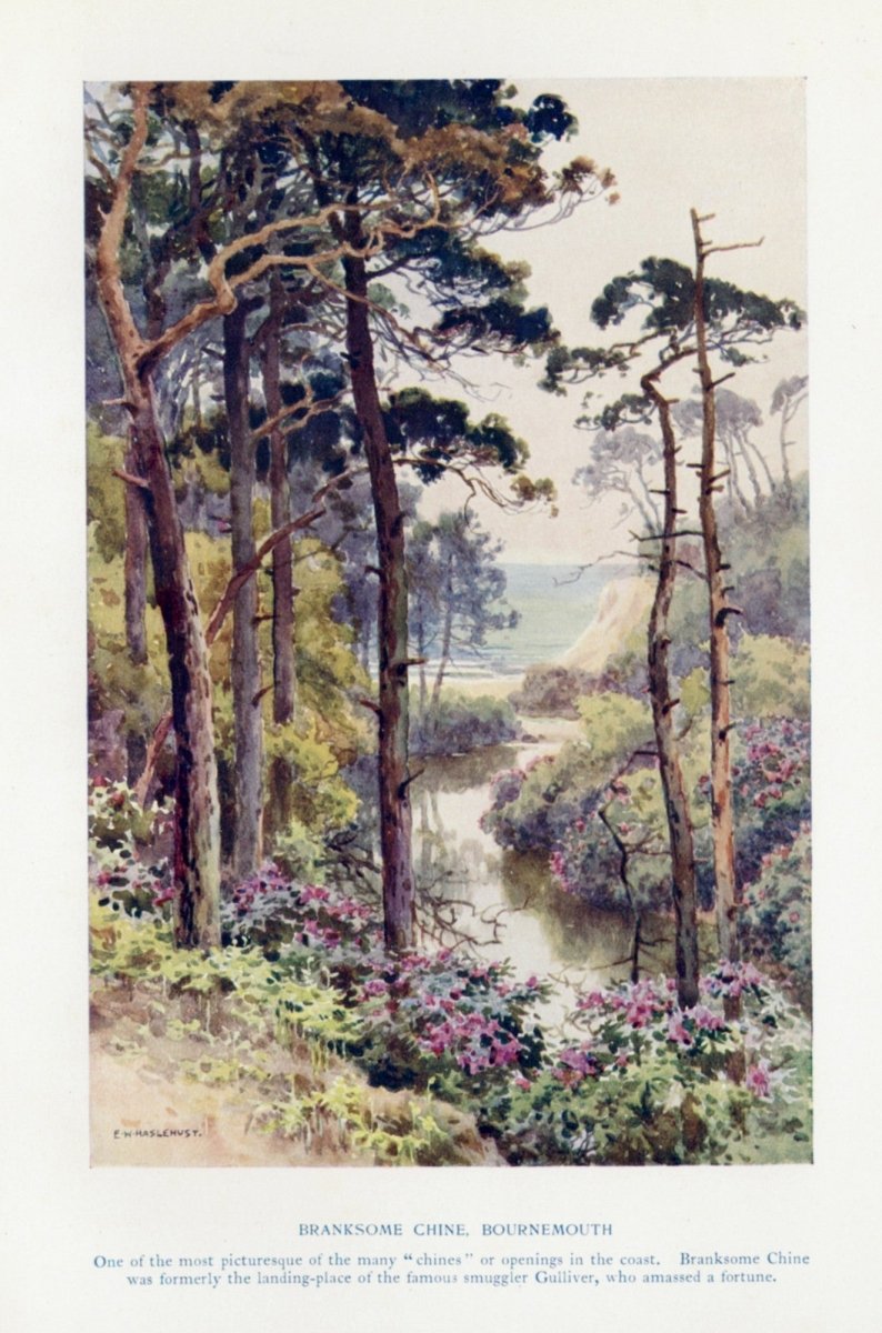 Dimensions 3184 x 4808 pixels