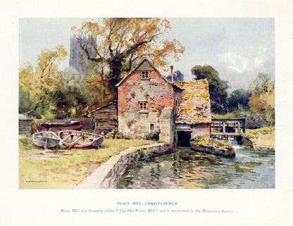 Dimensions 4496 x 3464 pixels