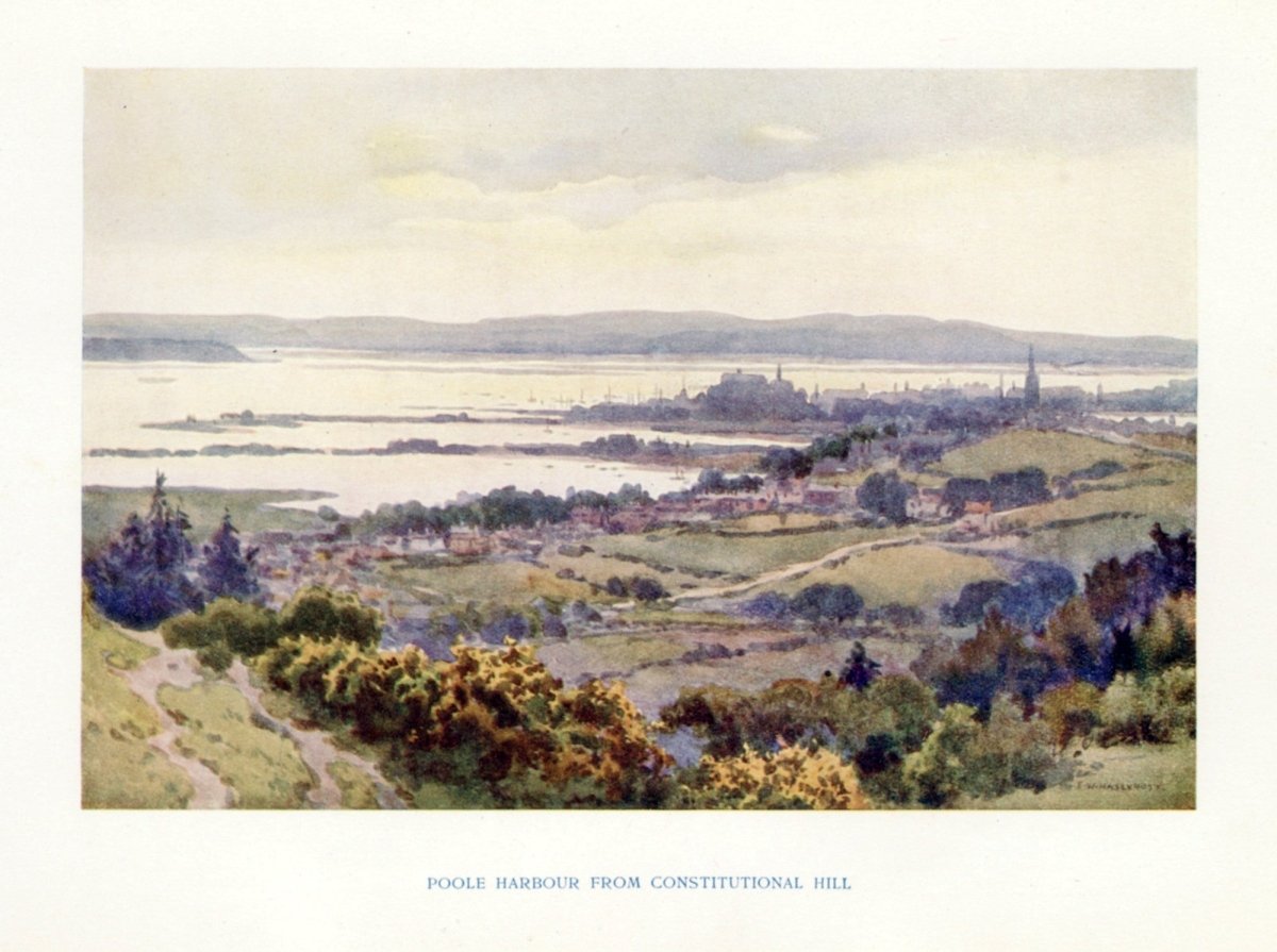 Dimensions 4504 x 3360 pixels