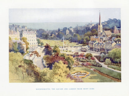 Dimensions 4524 x 3378 pixels