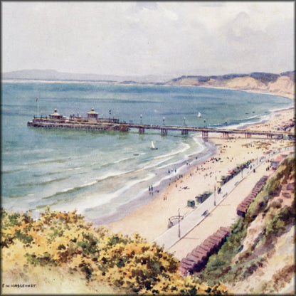 Digital Download - 12 images