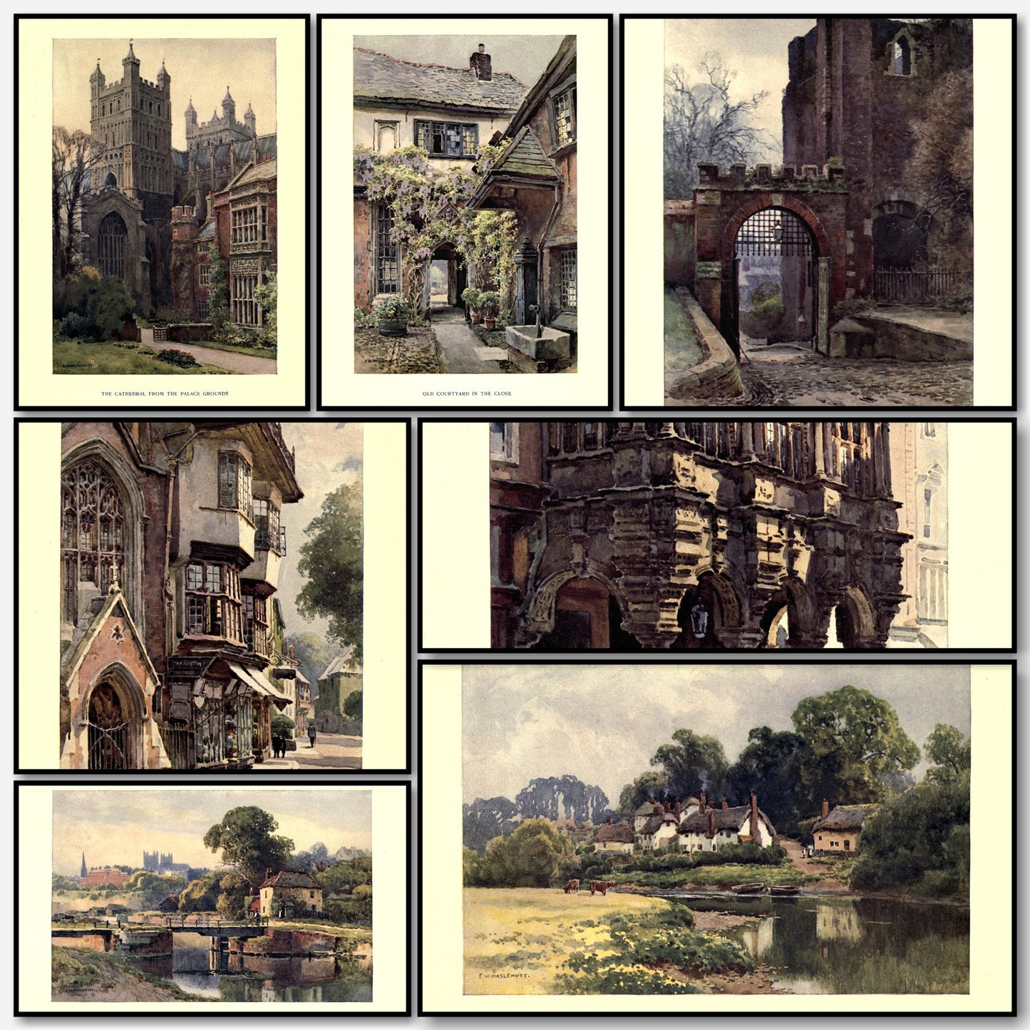 A snapshot of some of the images