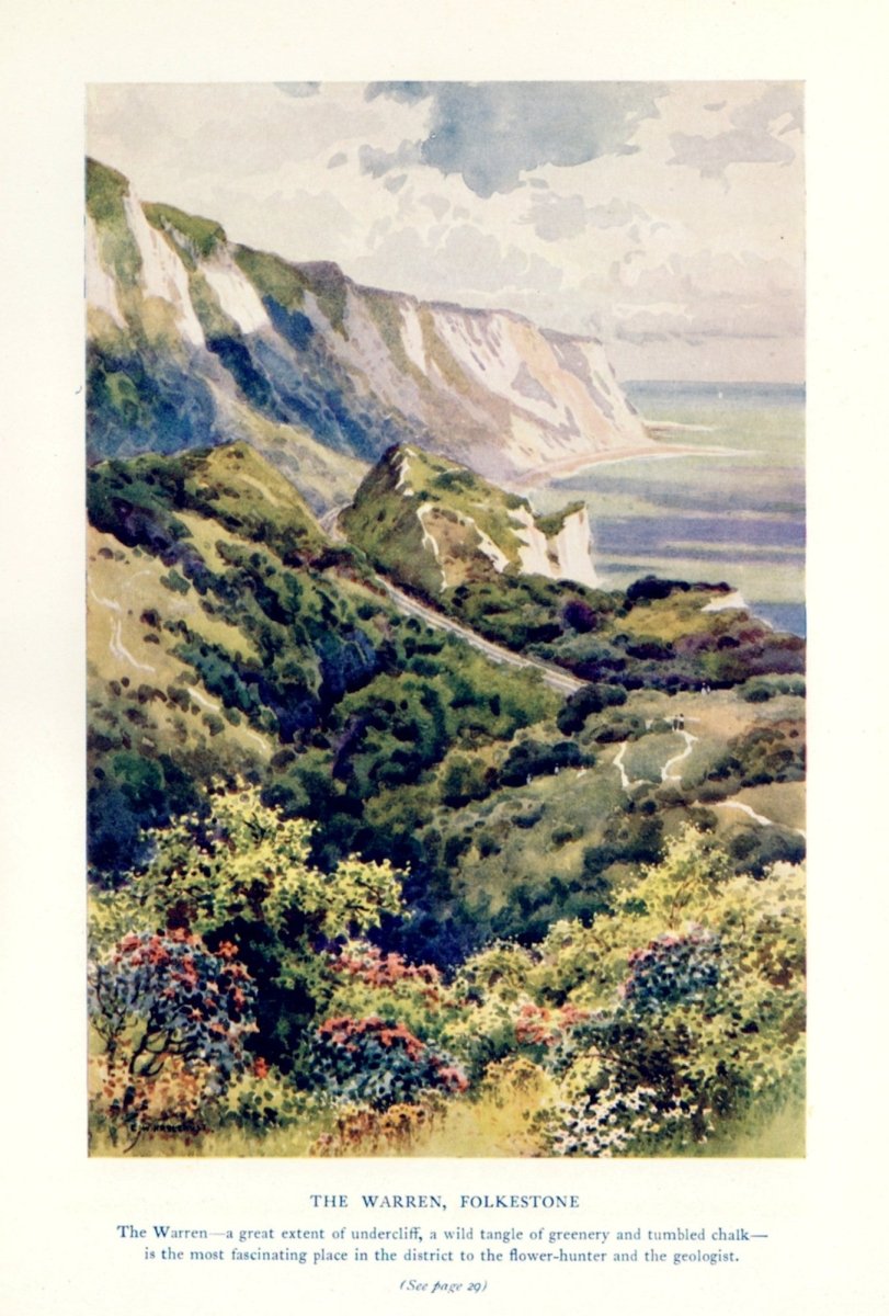 Dimensions 3252 x 4812 pixels