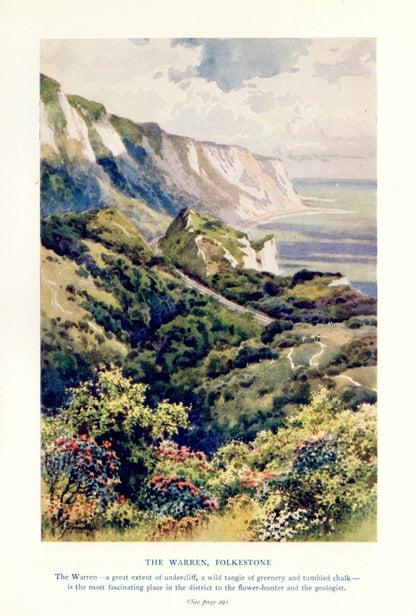 Dimensions 3252 x 4812 pixels