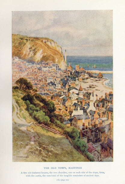 Dimensions 3230 x 4750 pixels