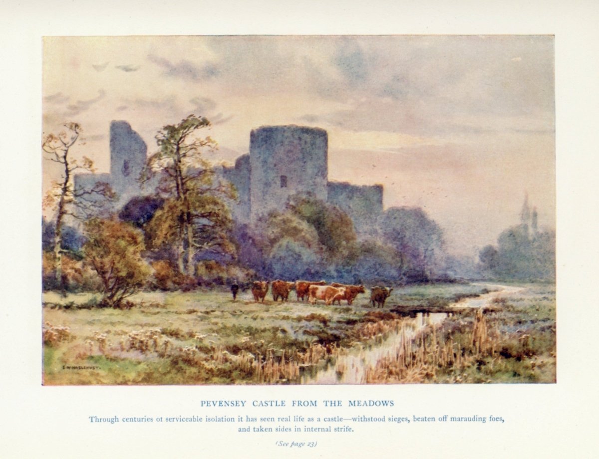 Dimensions 4554 x 3492 pixels