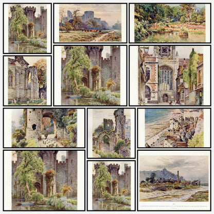 A snapshot of the images