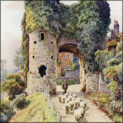 Digital Download - 12 images