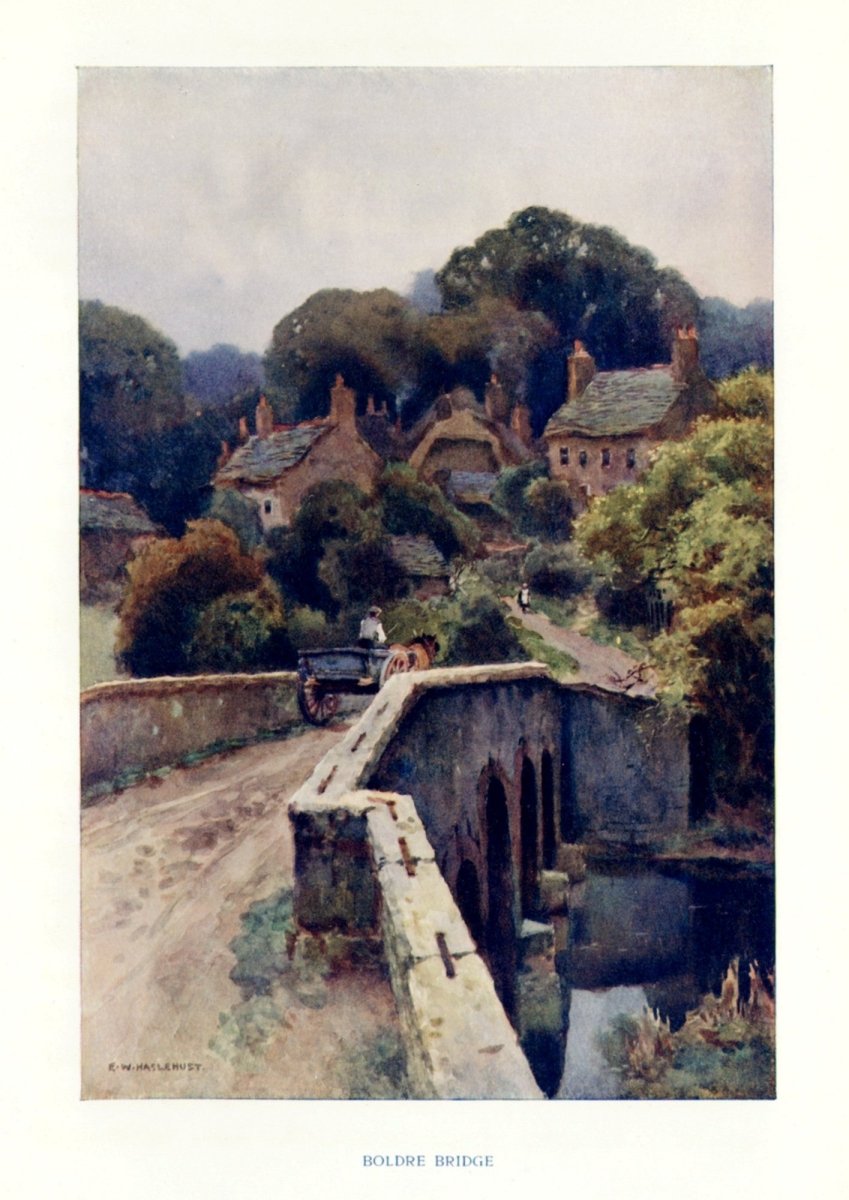 Dimensions 3220 x 4550 pixels