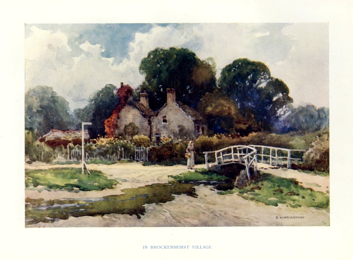 Dimensions 4545 x 3357 pixels