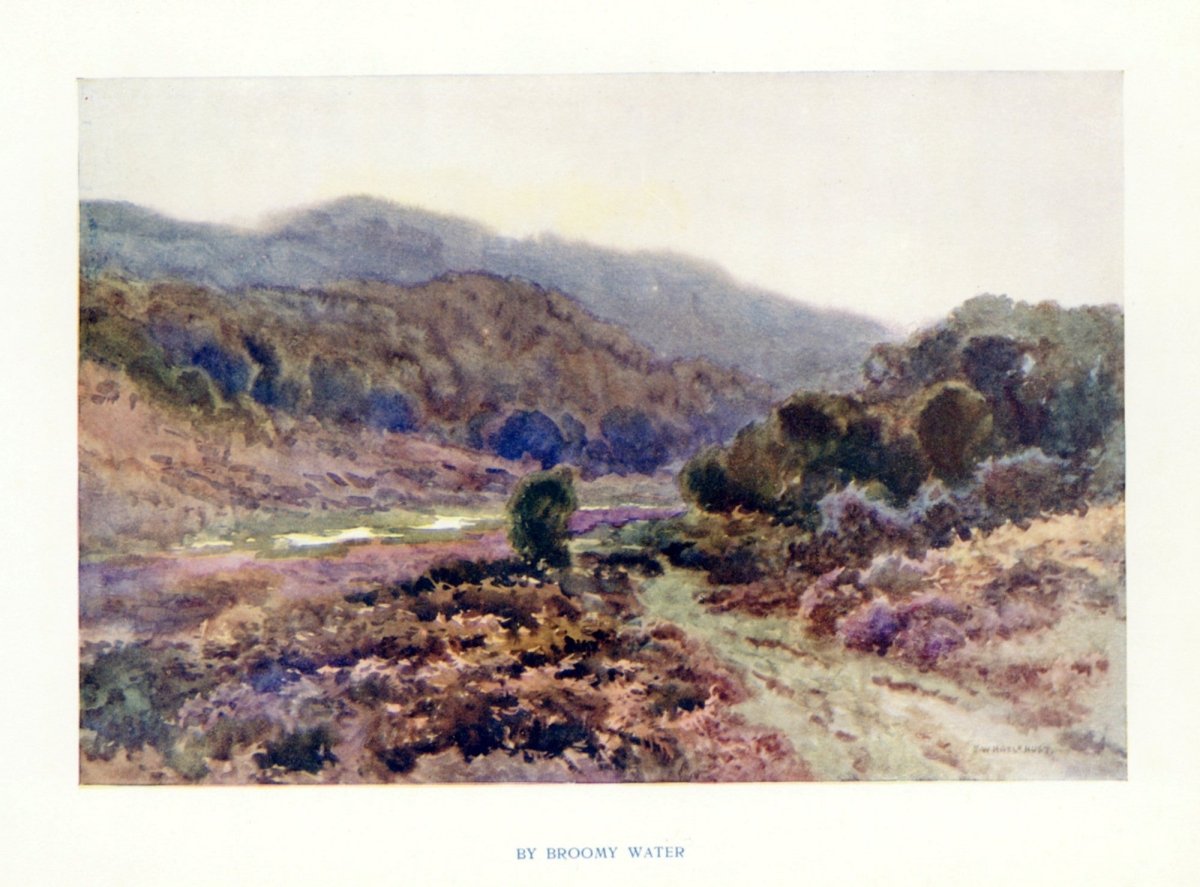 Dimensions 4491 x 3321 pixels