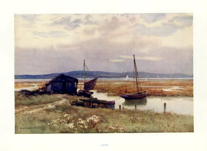 Dimensions 4529 x 3311 pixels