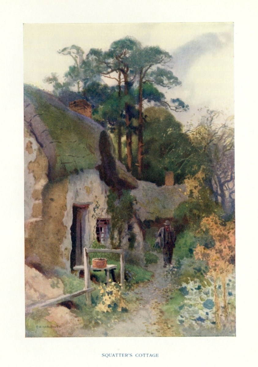 Dimensions 3220 x 4585 pixels