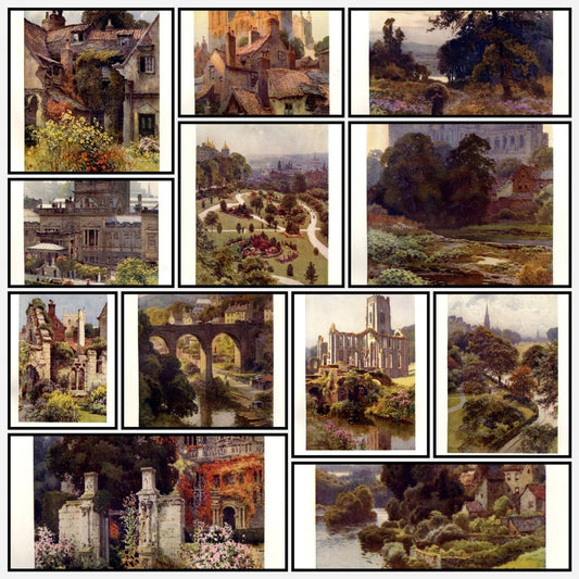 A snapshot of the images