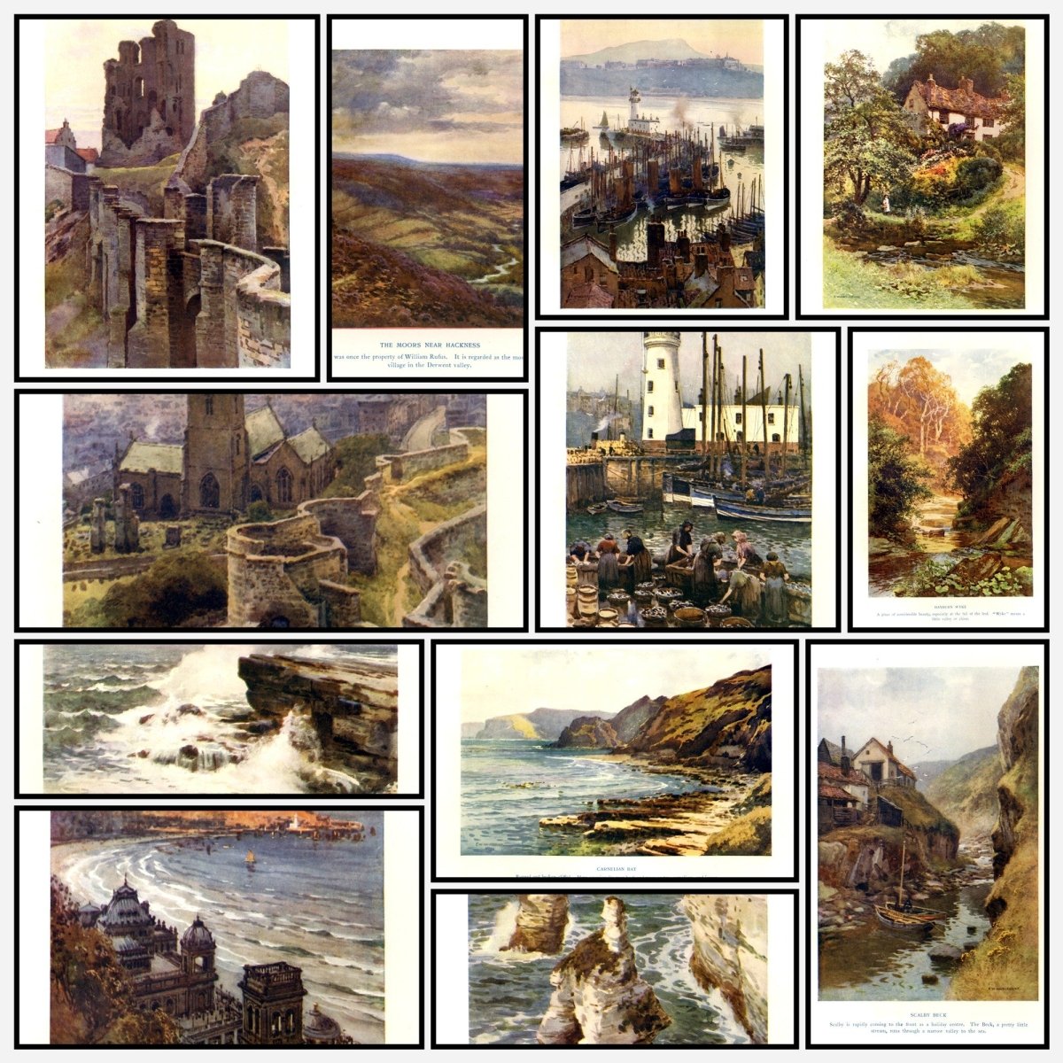 A snapshot of the images