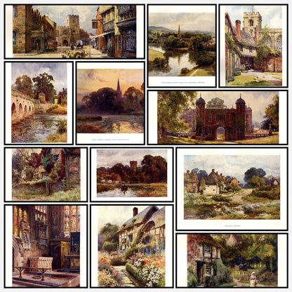 A snapshot of the images