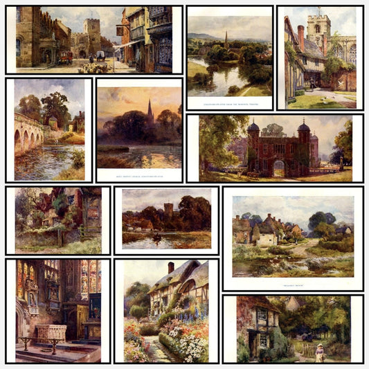 A snapshot of the images