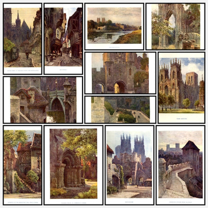A snapshot of the images