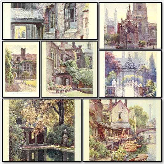 A snapshot of some of the images