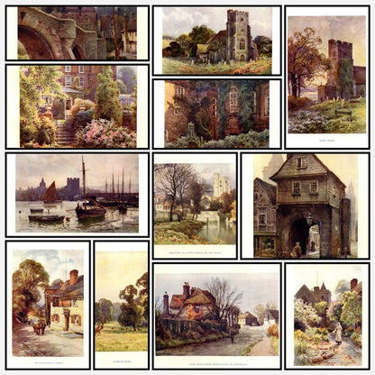 A snapshot of the images