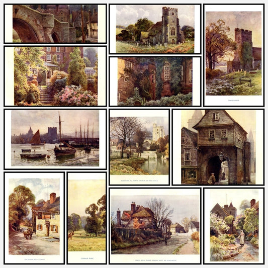 A snapshot of the images