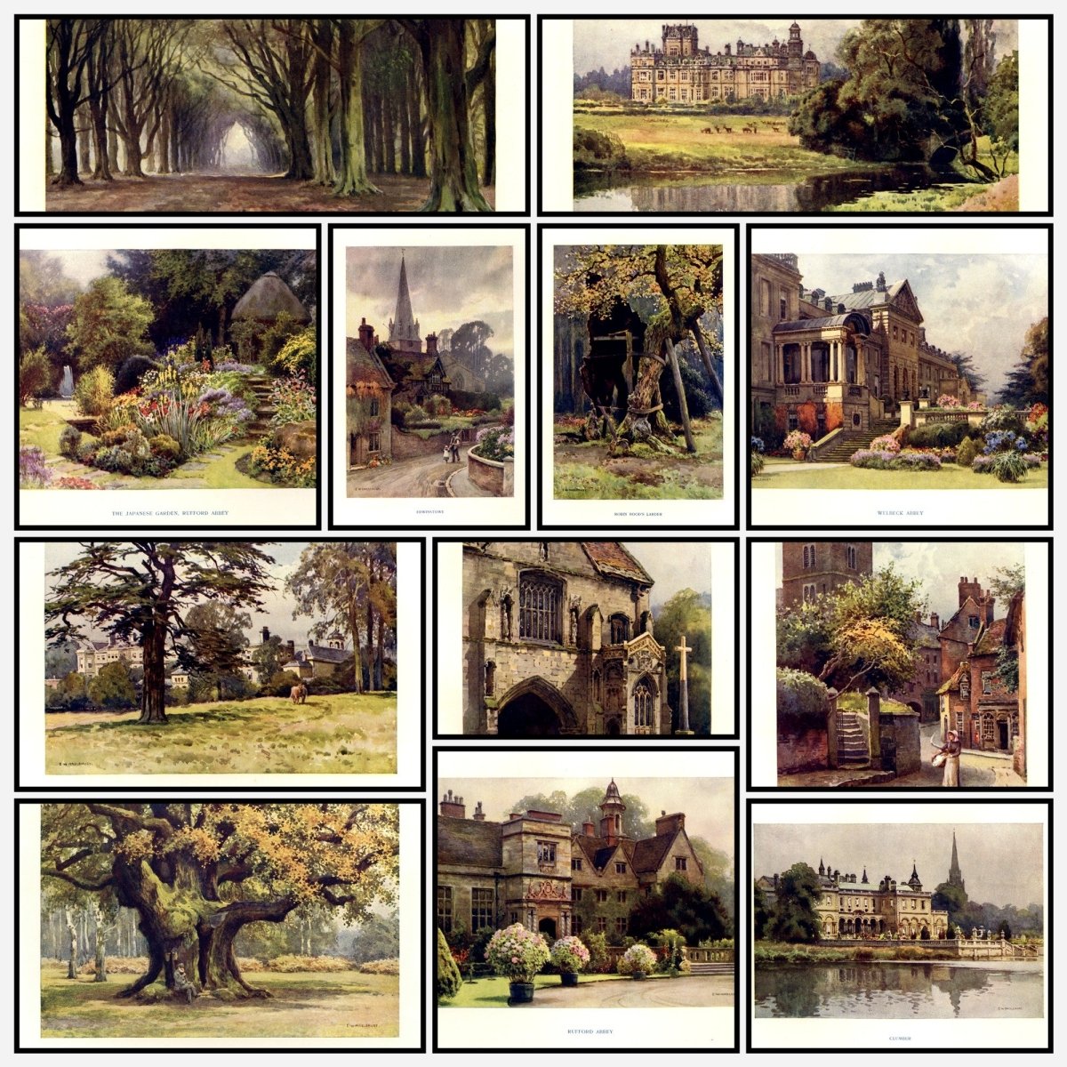 A snapshot of the images