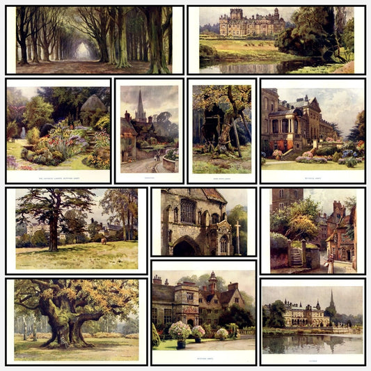 A snapshot of the images