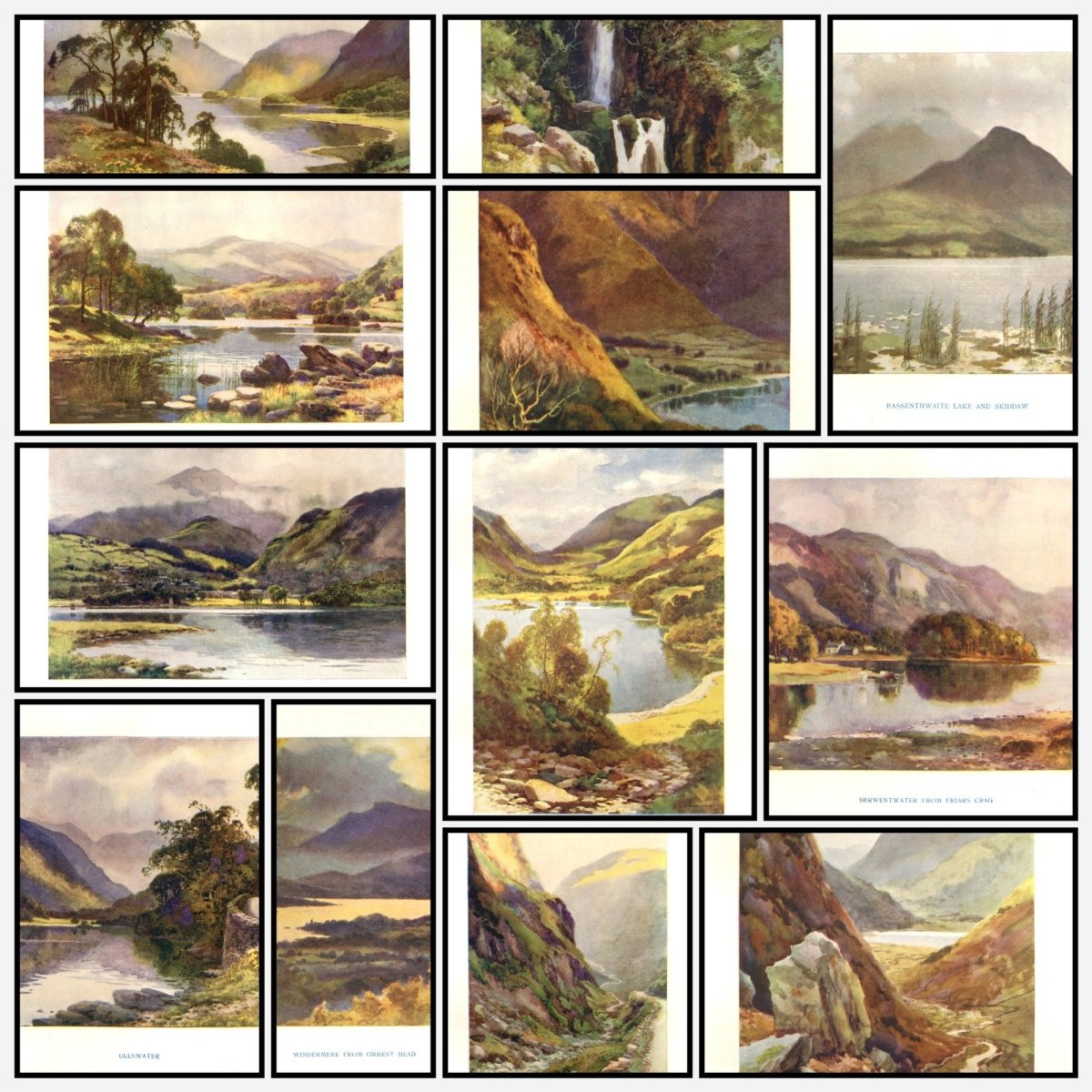 A snapshot of the images