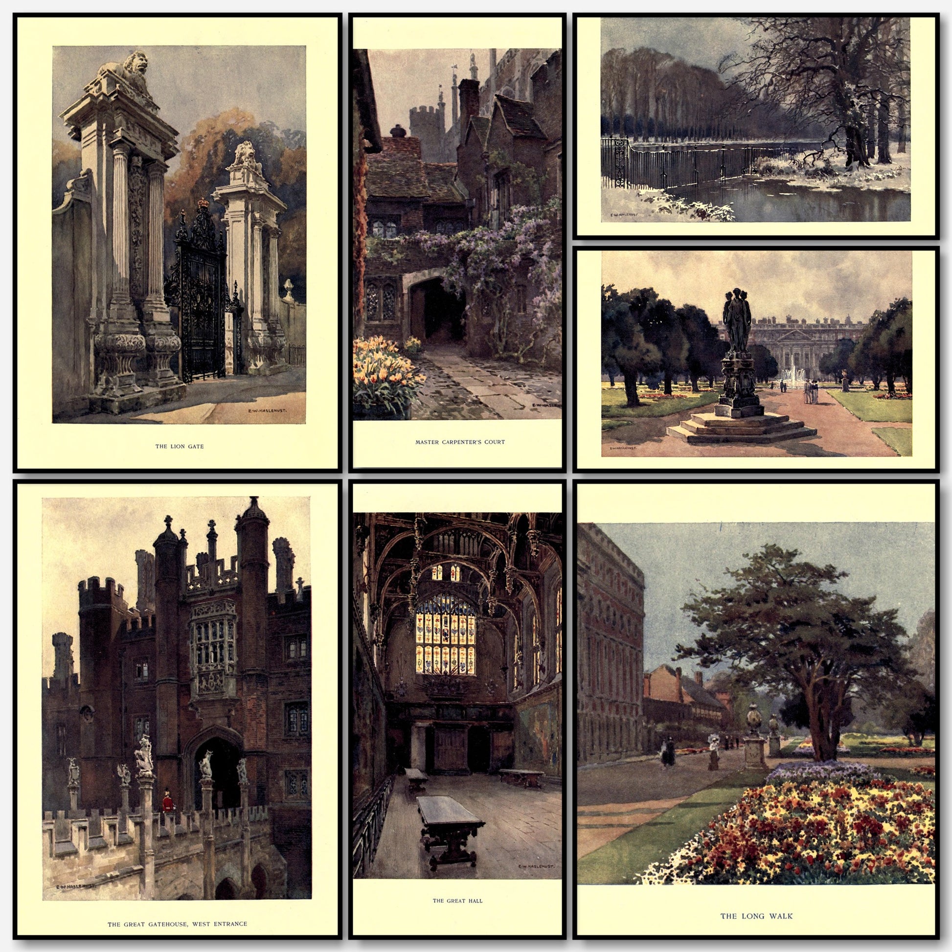 A snapshot of some of the images