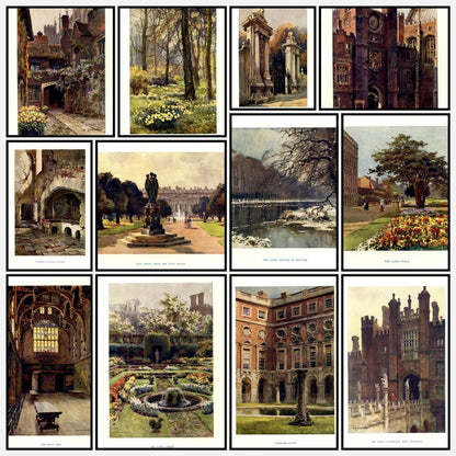 A snapshot of the images