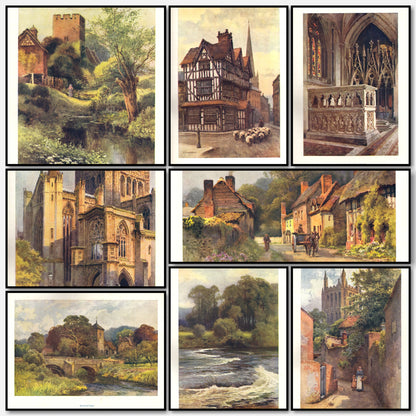 A snapshot of some of the images