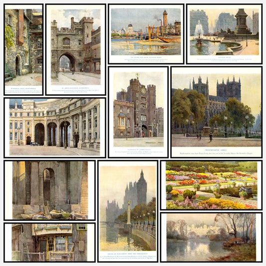 A snapshot of the images