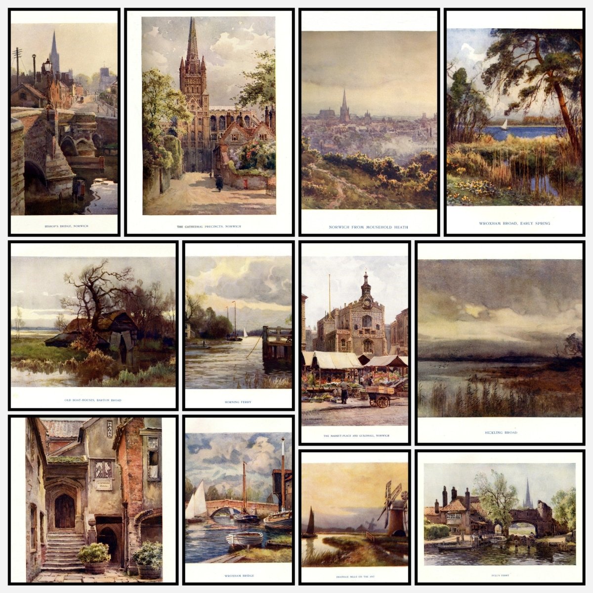 A snapshot of the images
