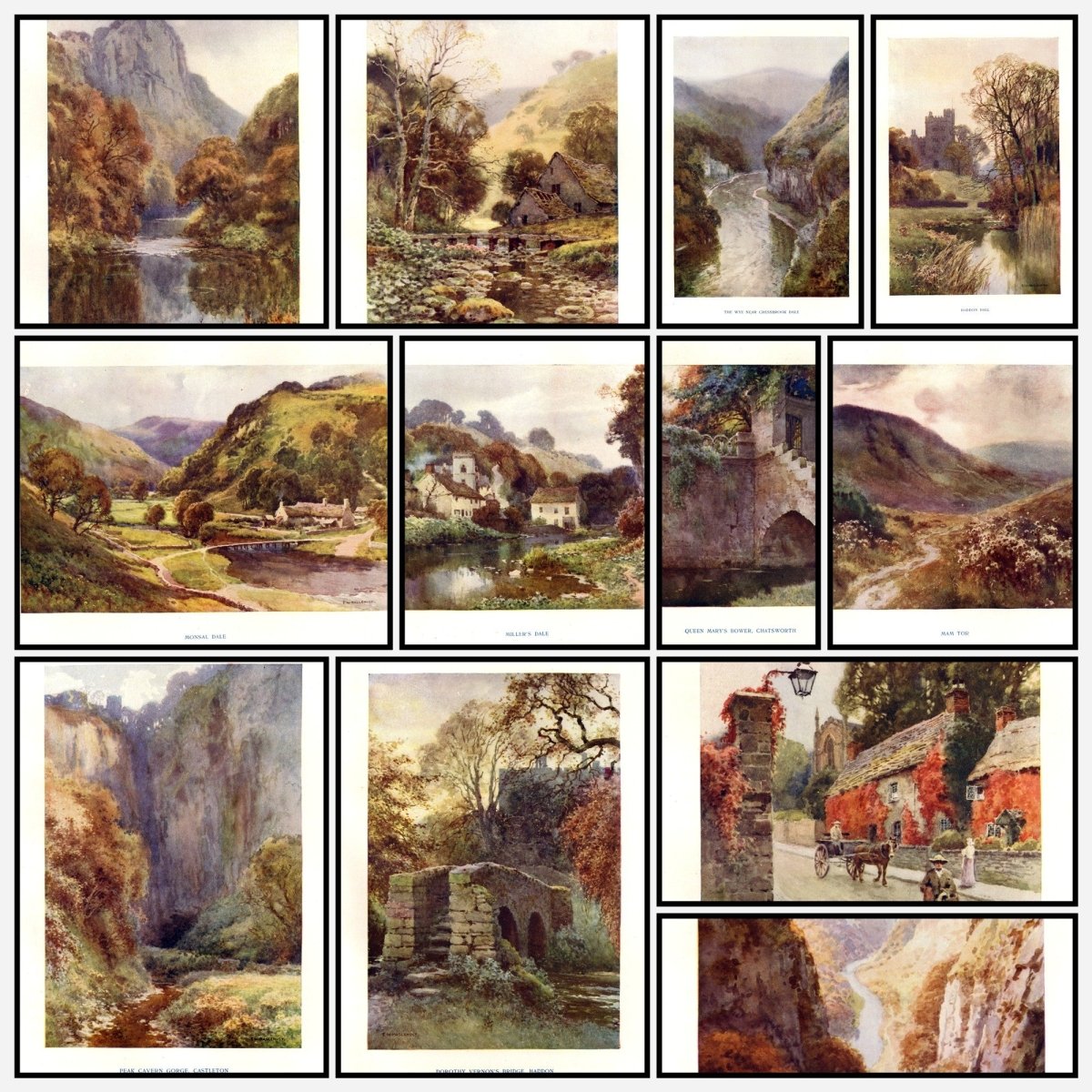 A snapshot of the images