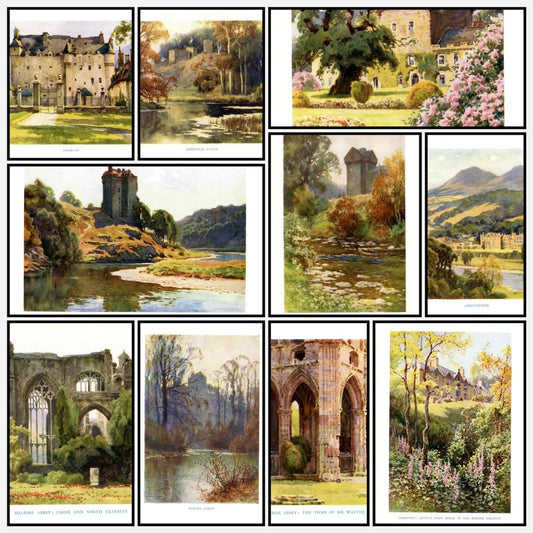 A snapshot of the images