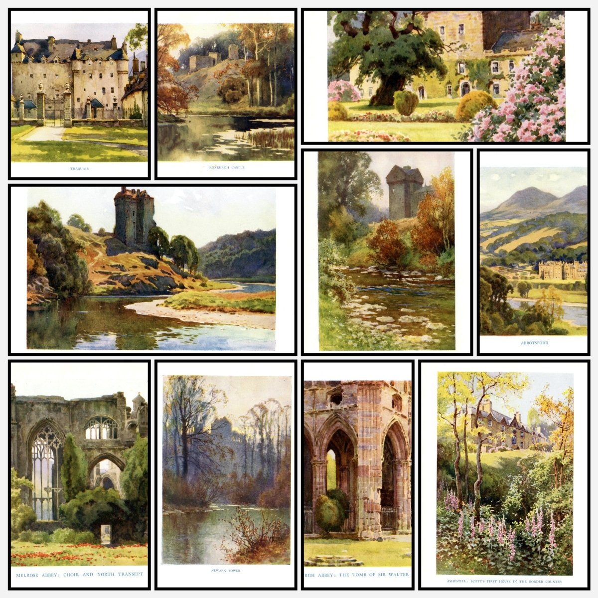 A snapshot of the images