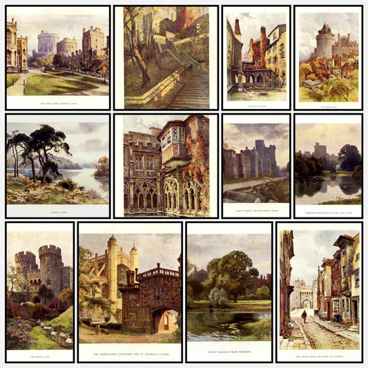 A snapshot of the images