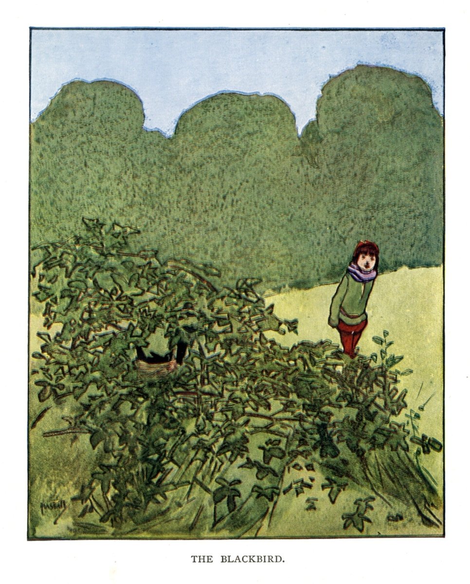 Dimensions 4370 x 5430 pixels