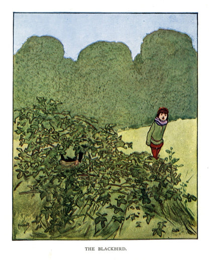 Dimensions 4370 x 5430 pixels